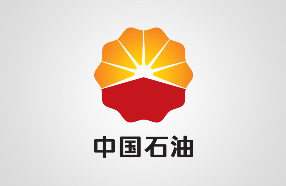 合作伙伴四